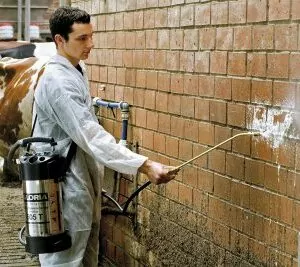 Sanering av tegelvägg med sprayer